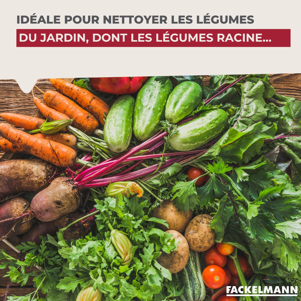 Brosse à légumes en bois  Wood Edition Fackelmann - Mathon - 6