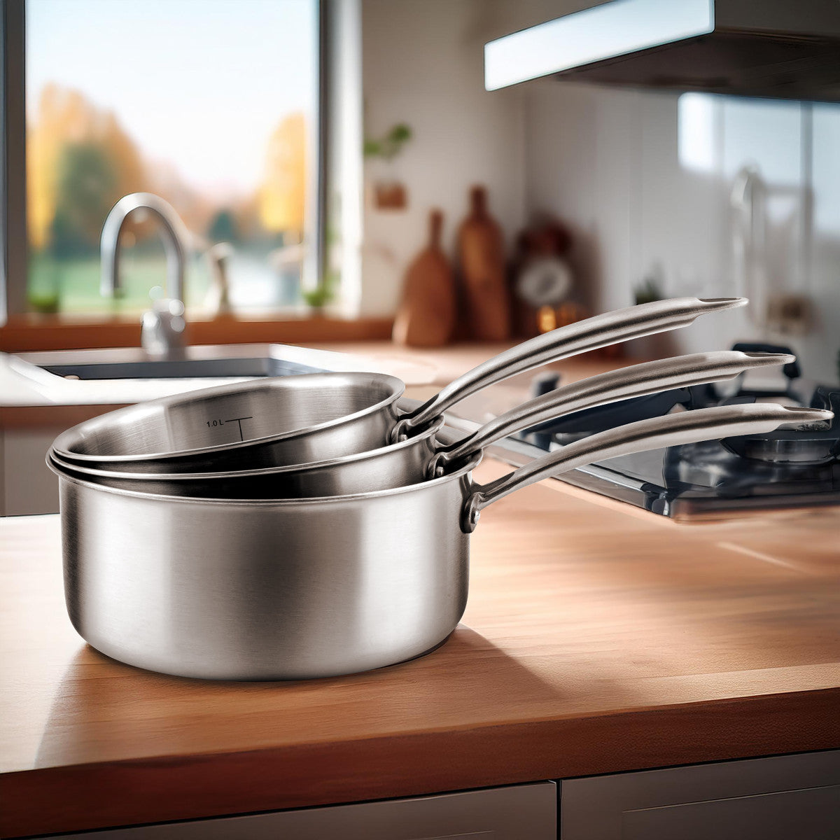 Gourmet – Lot de 3 casseroles inox 16/18/20 cm, 1 poêle inox 24 cm, 1 couvercle 24 cm Cuisinox - Mathon - 7