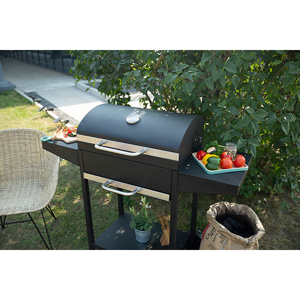 Barbecue à charbon rectangle DOC250 Livoo - Mathon - 6