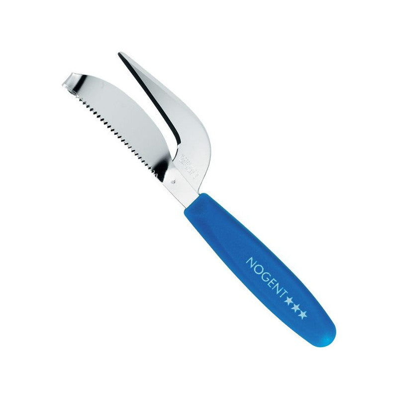 Ecailleur Poisson Vitecaille Bleu Vrac Nogent - 09037z1 Nogent - Mathon