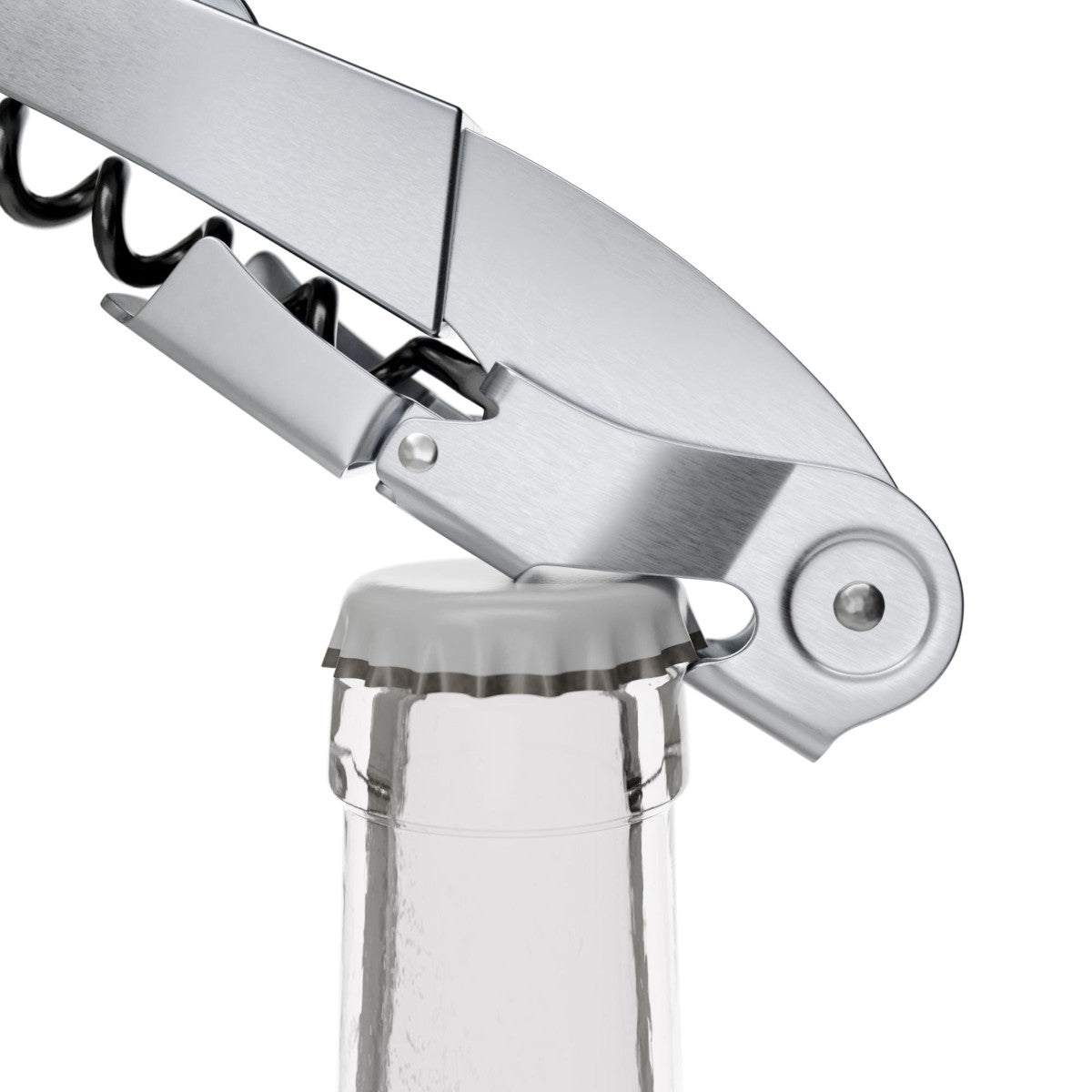 Titan Inox - Tire-bouchon Koala - Mathon - 10