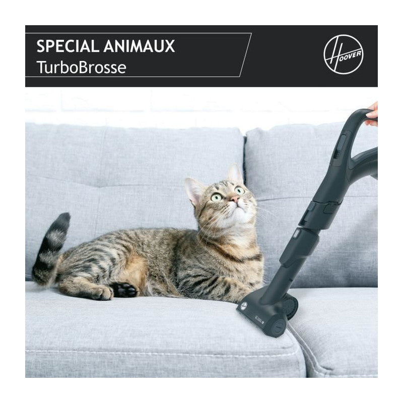 Aspirateur Traineau Sans Sac -   - Hp720pet - 850 W - 68 Dba - Cassette 2 L - Spécial Parquet Et Animaux Hoover - Mathon - 5