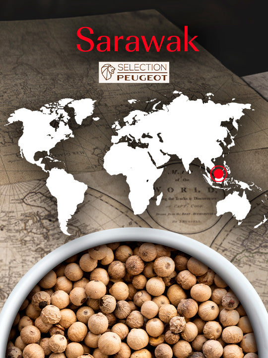 Multipack Mix Standard Pack Poivres et Sel Classique Peugeot - Mathon - 3