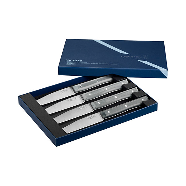 Coffret de 4 couteaux de table à lame micro dentée Facette ardoise Opinel - Mathon - 3