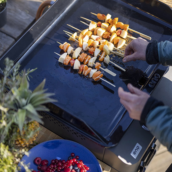 Plancha gaz Fusion 75 gris cargo ENO - Mathon - 4