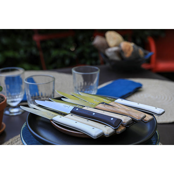 Coffret de 4 couteaux de table à lame lisse Facette panaché Opinel - Mathon - 3