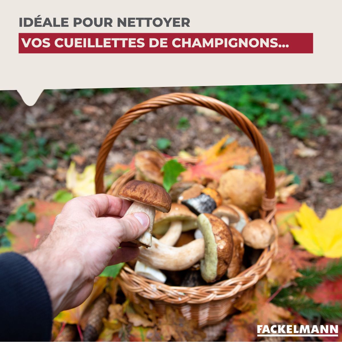 Brosse à légumes en bois  Wood Edition Fackelmann - Mathon - 7