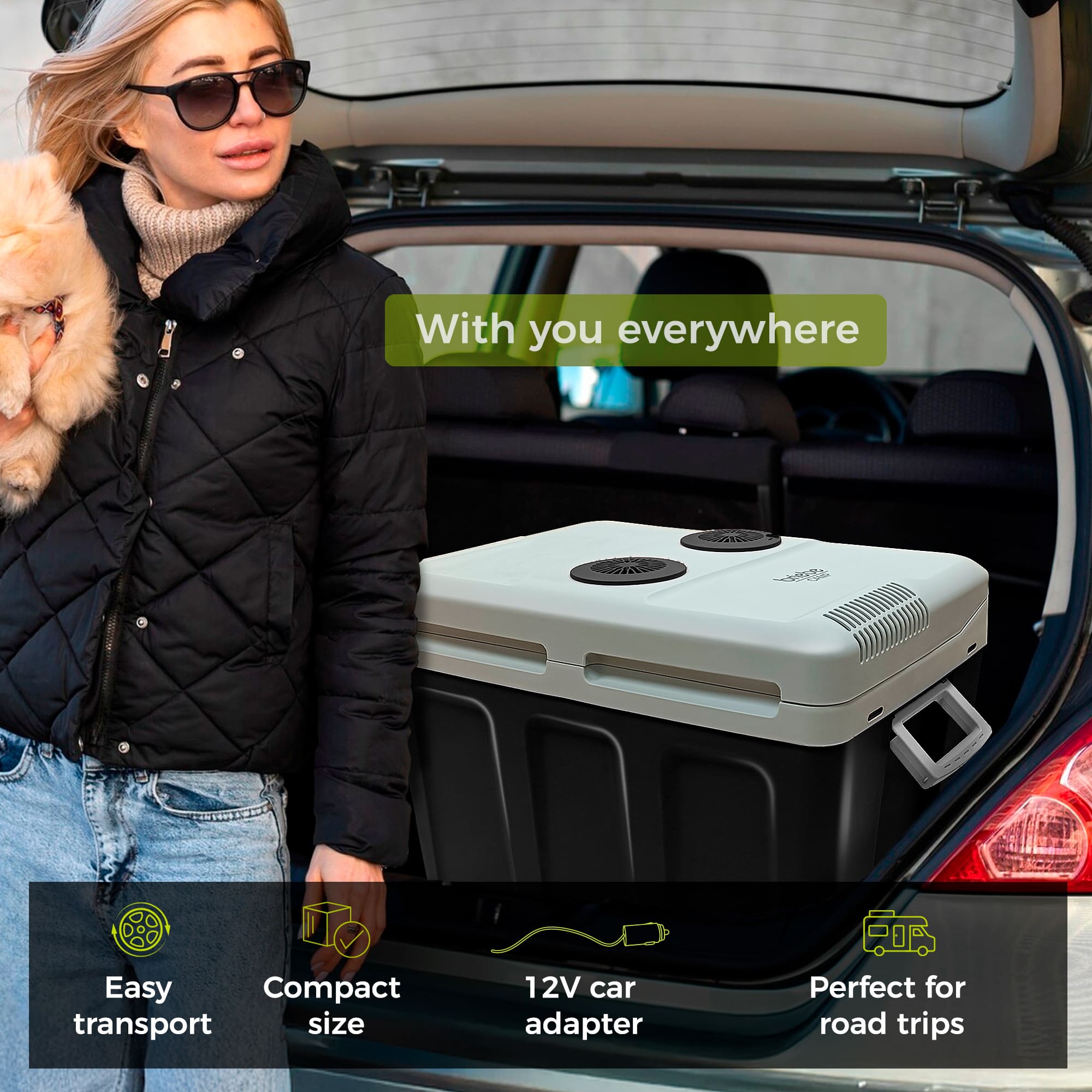 Glacière Électrique portable 40 Litres, 12V / 220 - 240V Voiture et Camping 58  Noir CF1155BLK - Mathon - 7