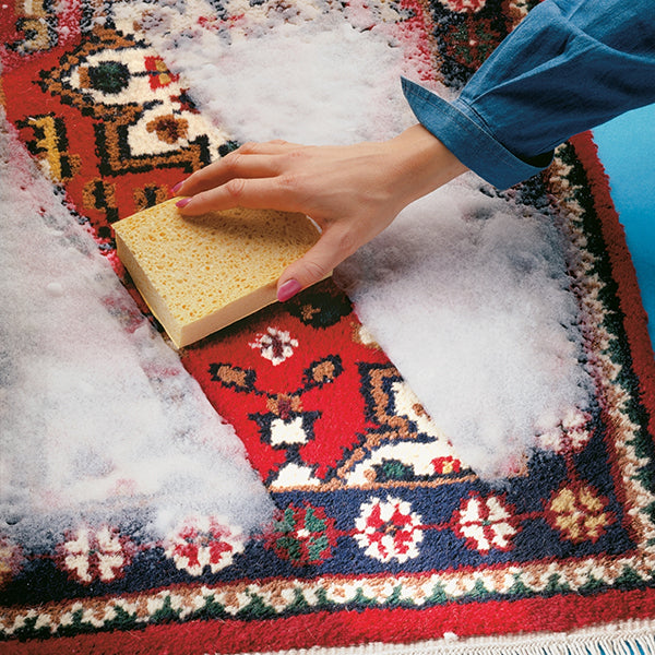 Nettoyant pour tapis 500 ml Wenko by Maximex - Mathon - 2