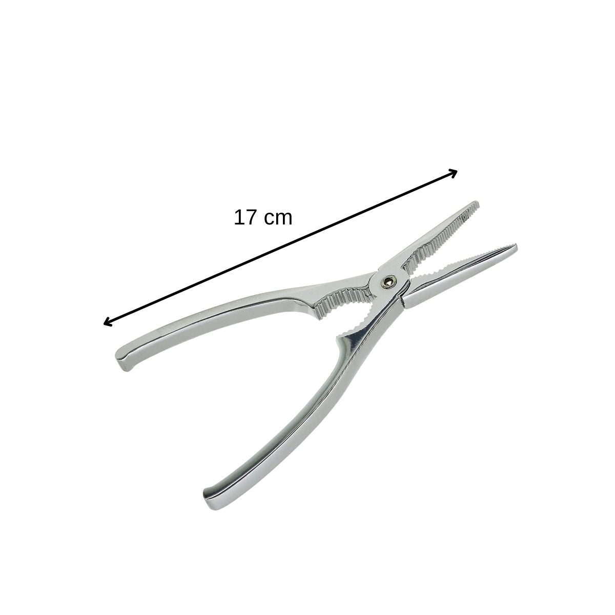 Pince à crustacés et à Homard 17 cm Fackelmann - Mathon - 3