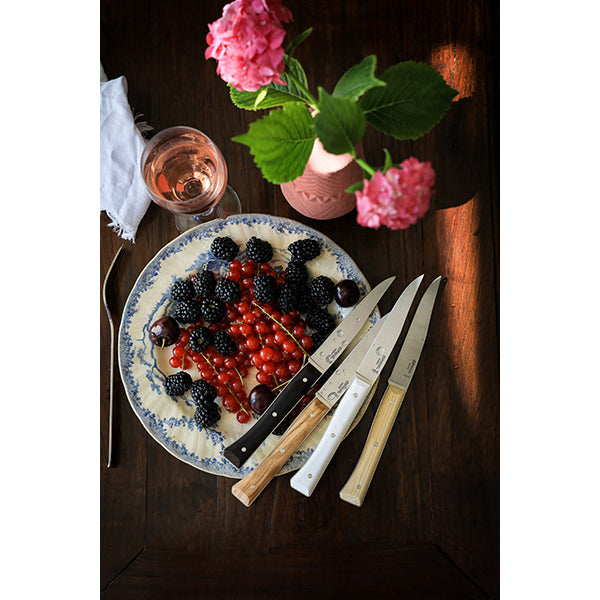 Coffret de 4 couteaux de table à lame lisse Facette panaché Opinel - Mathon - 2