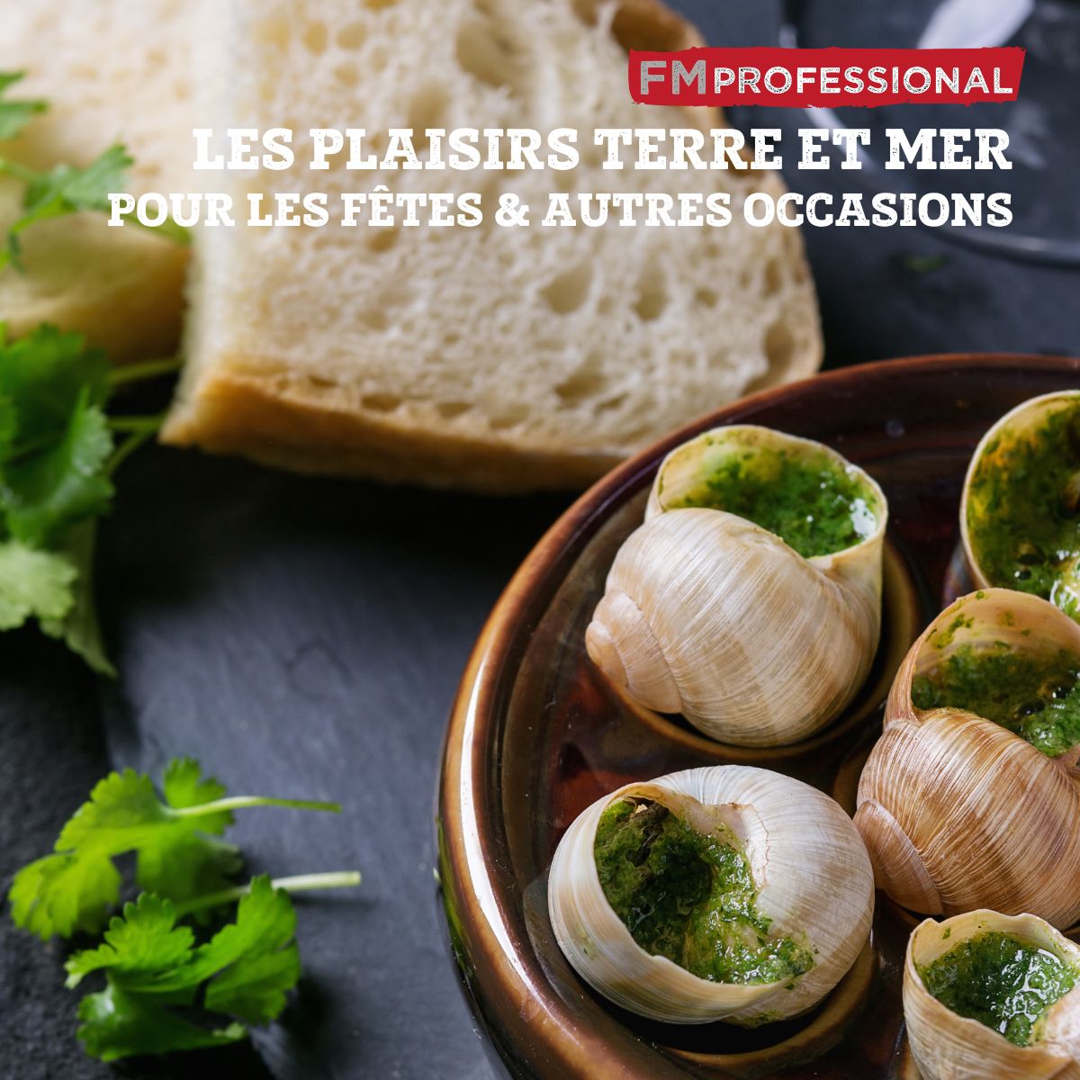 Lot de 4 pinces à escargot FM Professional - Mathon - 5