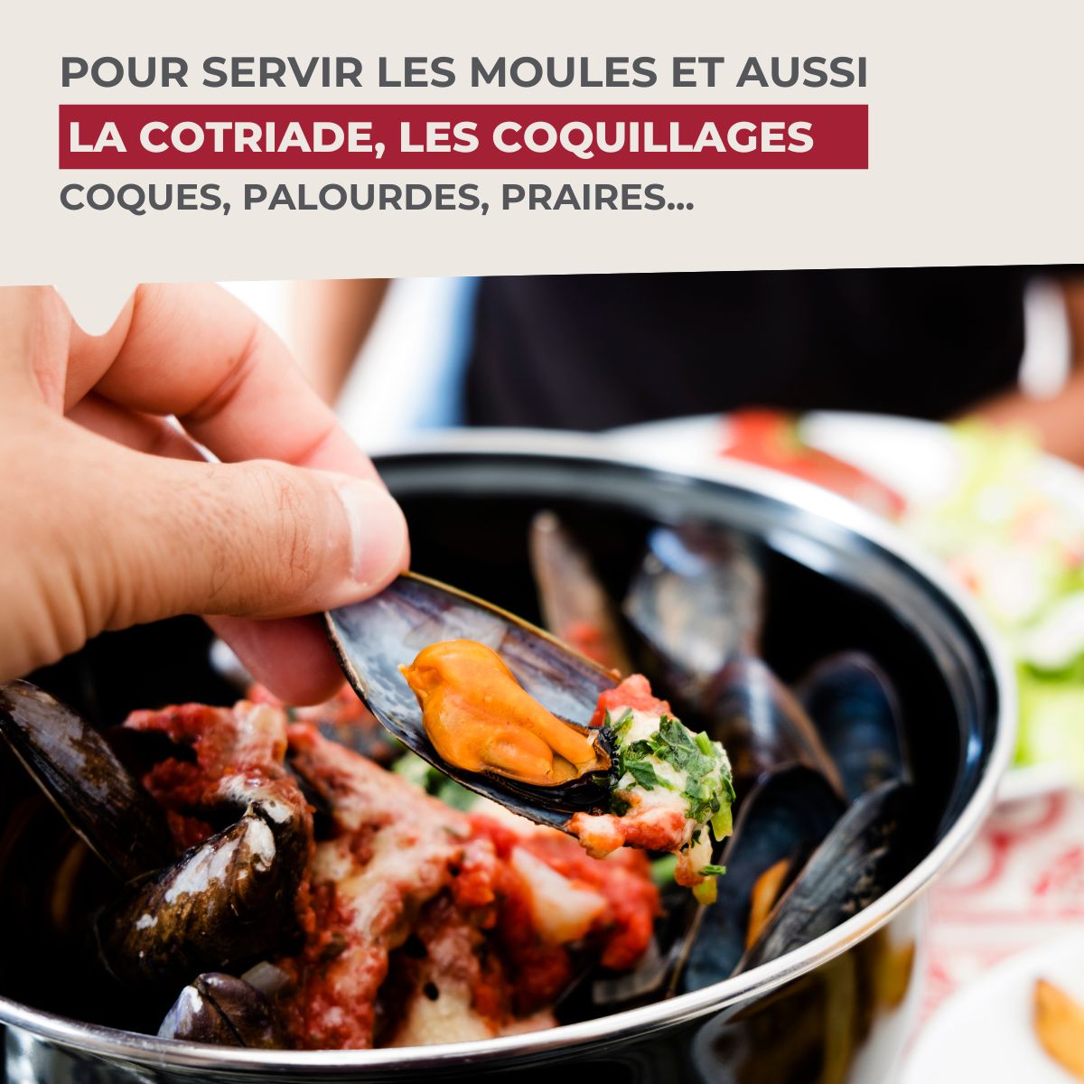 Marmite à moules émaillée 20,5 x 26 x 17,5 cm Fackelmann - Mathon - 4