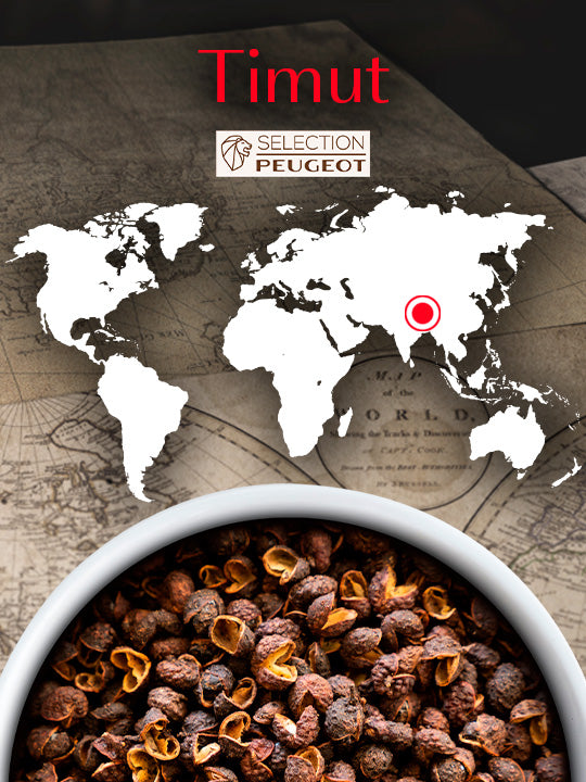 Timut Poivre sauvage du Népal, 40g - 4 sachets fraicheur de 10g Peugeot - Mathon - 4