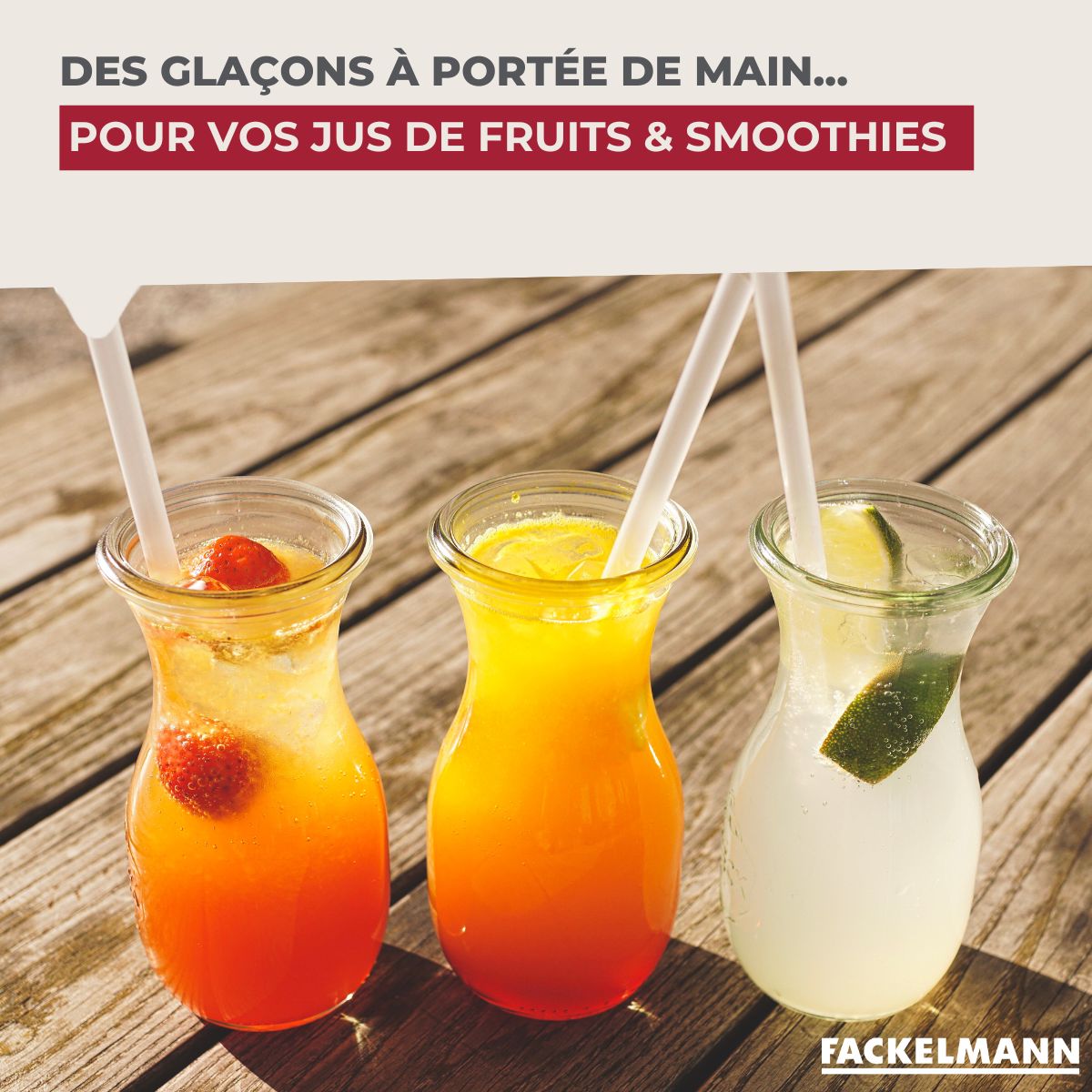 Lot de 2 Bac à glaçons 14 glaçons  Bar Concept Fackelmann - Mathon - 5