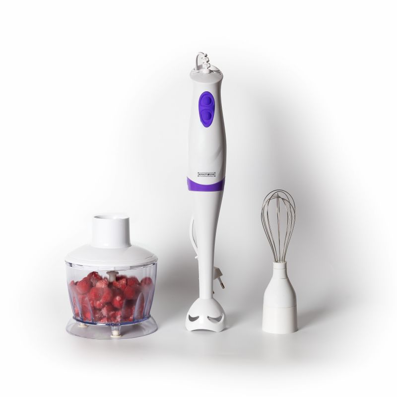 Set mixeur plongeant 3en1 250W Royalty Line RLSMS2502 Royalty Line - Mathon - 1