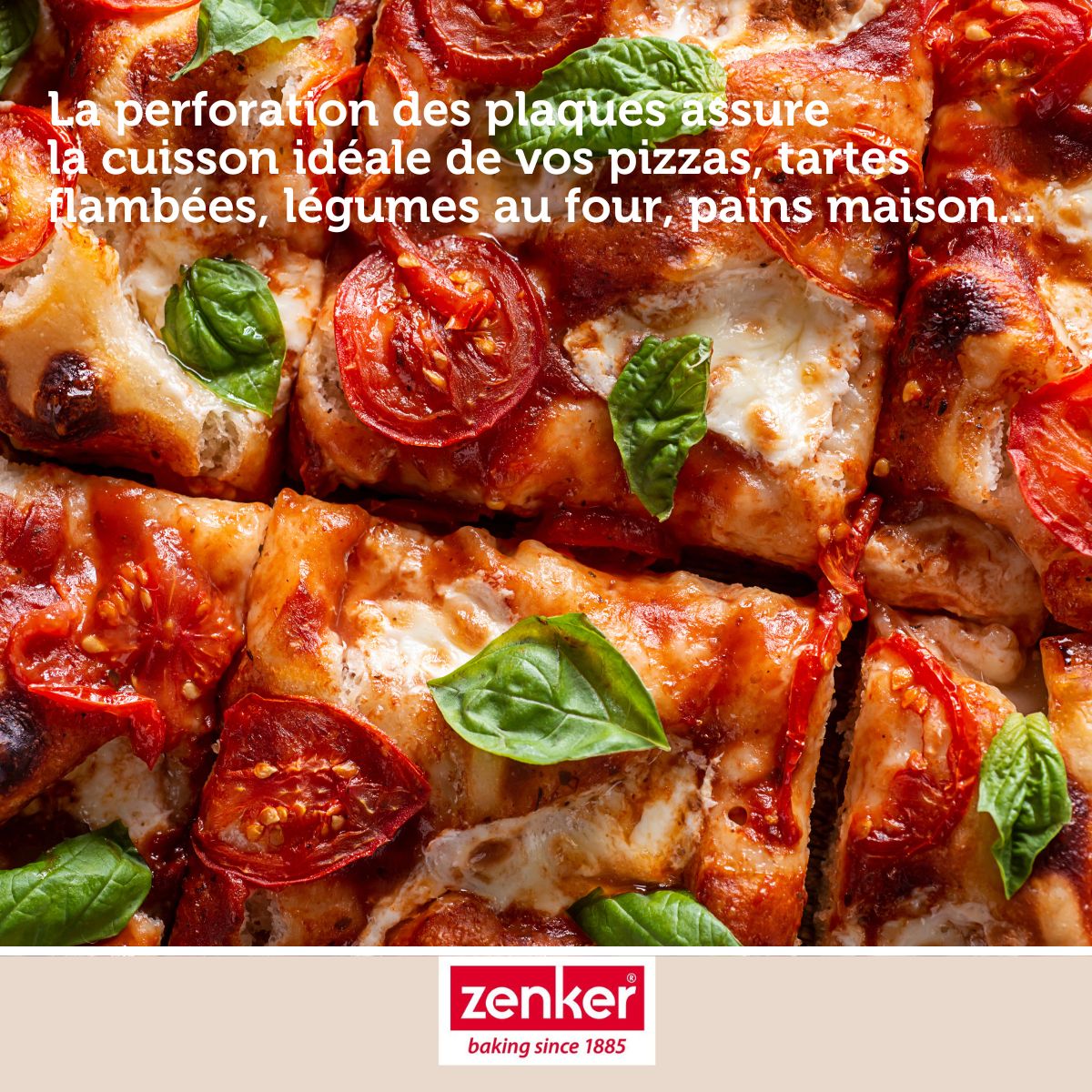 Lot de 2 plaques à pâtisserie perforées en aluminium Zenker Special Cooking Zenker - Mathon - 5