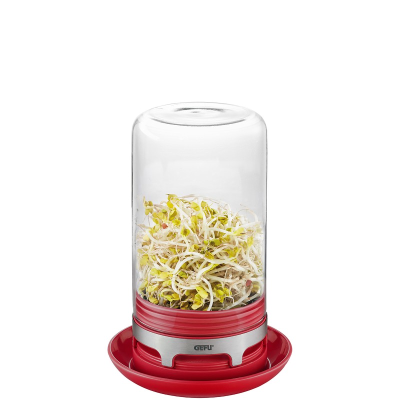 Mini-serre en verre pour jeunes pousses BIVITA, framboise Gefu - Mathon - 1