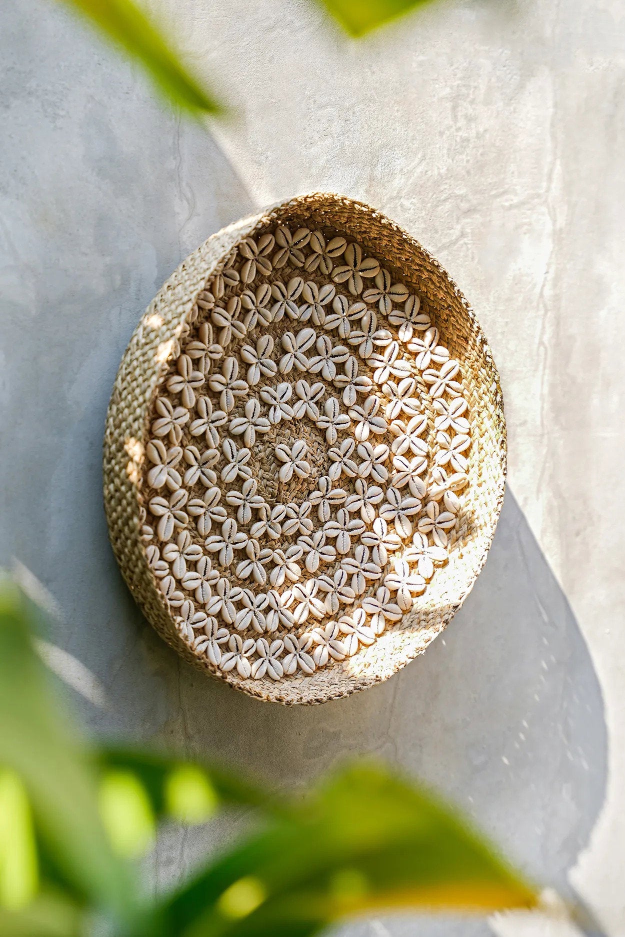 L’Assiette Costa Shell - Blanc Naturel - M Bazar Bizar - Mathon - 3