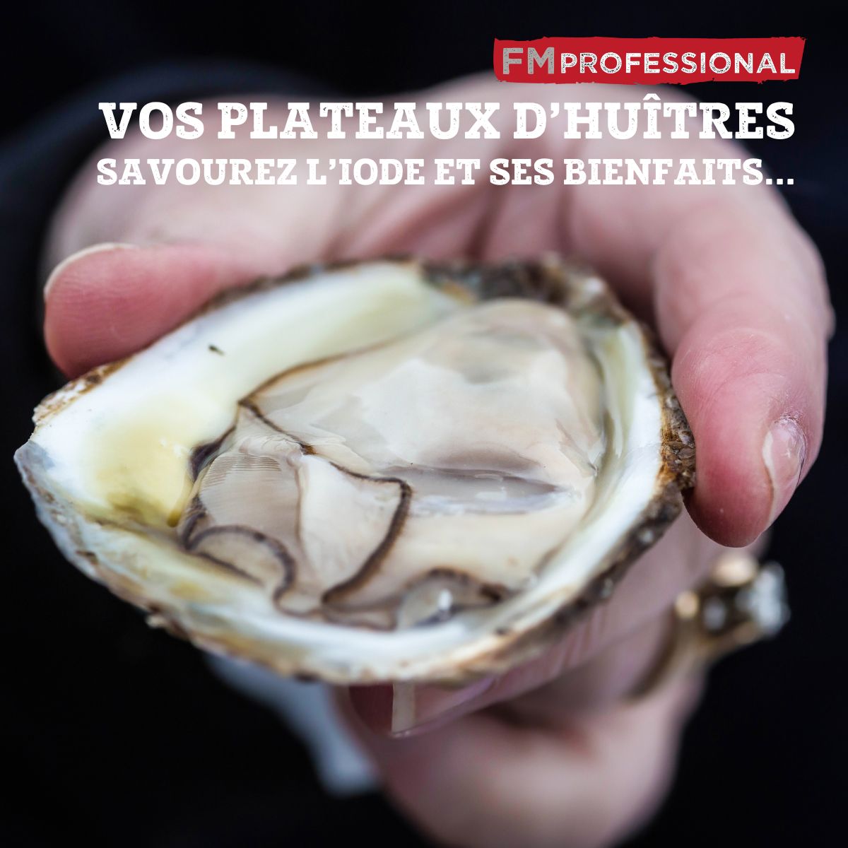 Couteau à huître 2 en 1 18 cm  Divers FM Professional - Mathon - 4