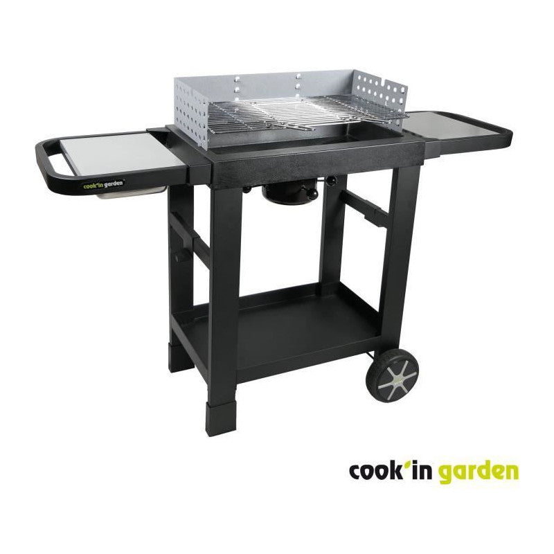 Barbecue Au Charbon De Bois - Cook