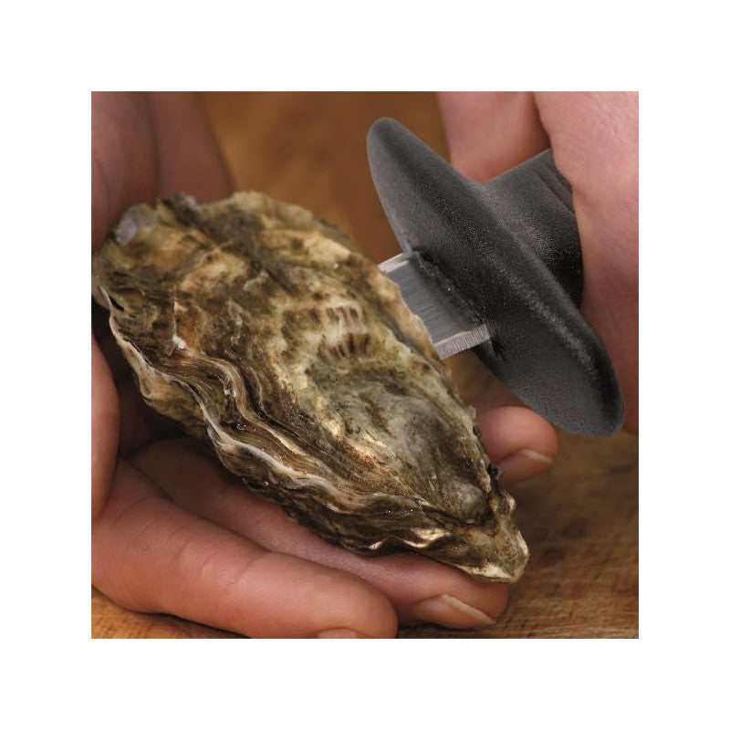 Service A Huitre Plateau+support+ctx Cmp - Ku6102 CMP - Mathon - 3