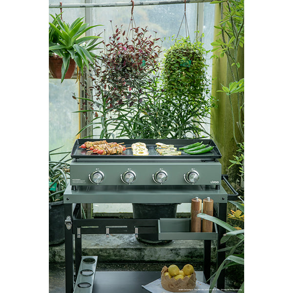 Plancha gaz 4 bruleurs 10 kW DOC325 Livoo - Mathon - 2