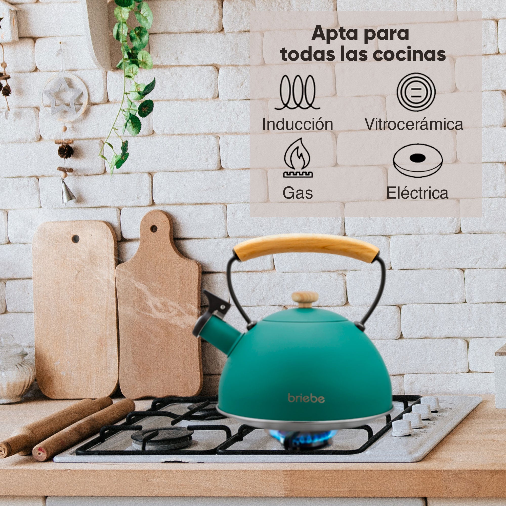 Bouilloire Sifflante En Acier Inoxydable 5L Cabilock - Pour Cuisinière Gaz/induction - Bec Verseur Et Poignée Bakélite Anti-brûlure