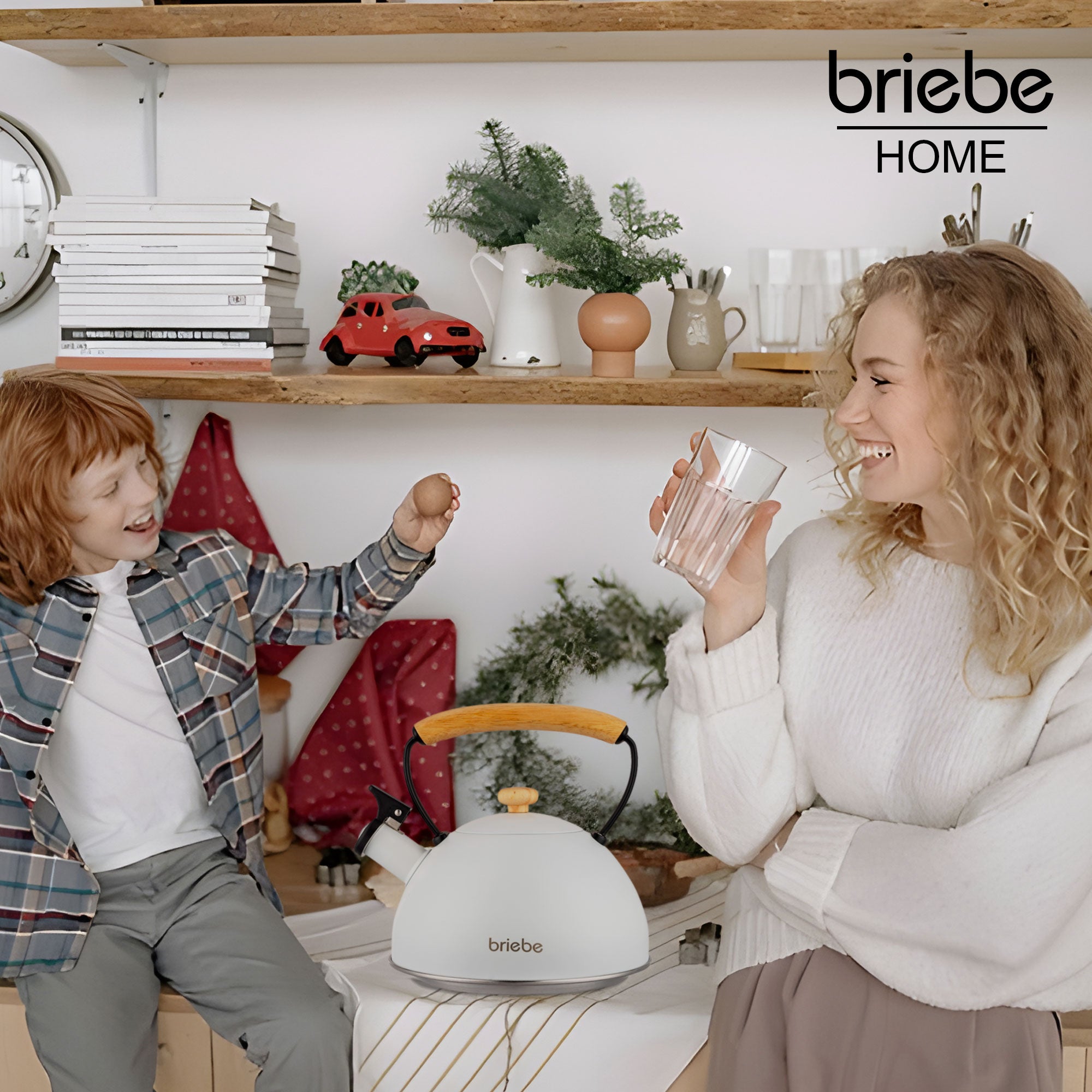 Bouilloire à Induction Théière Sifflet 2,3L  Acier Inox, Poignée en Bois  Blanc Nordic - Mathon - 5