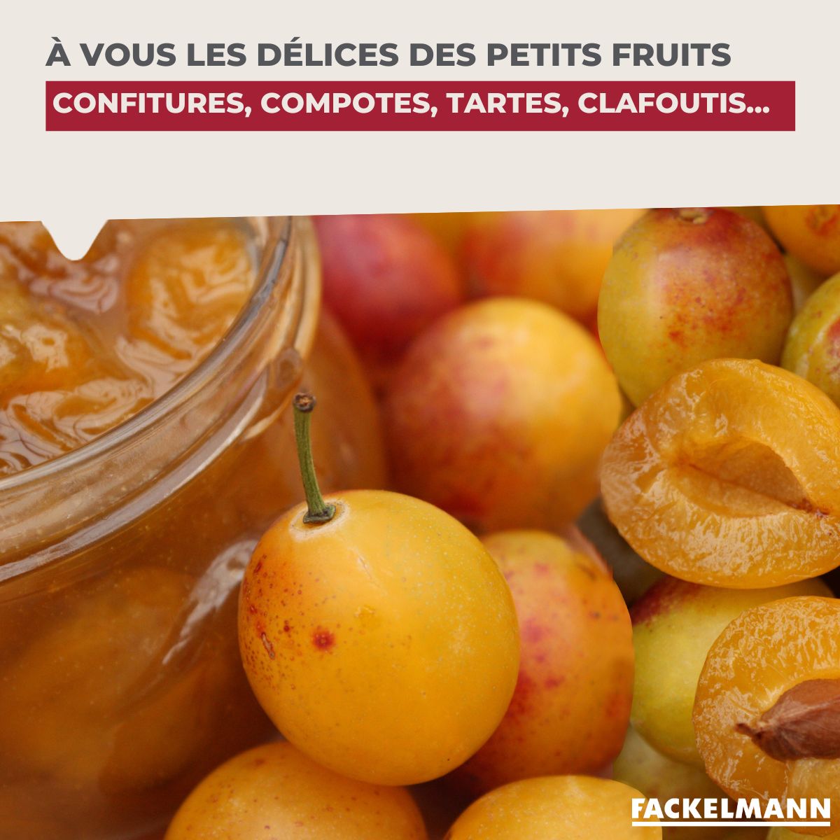 Dénoyauteur de prunes  Arcadalina Fackelmann - Mathon - 6