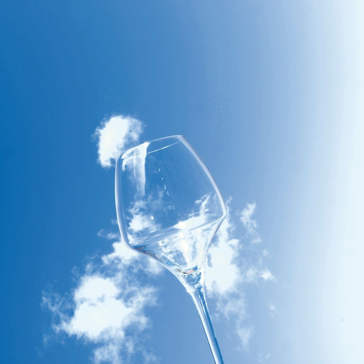 6 verres à vin universel 40cl Open Up - Chef&Sommelier Chef & Sommelier - Mathon - 5