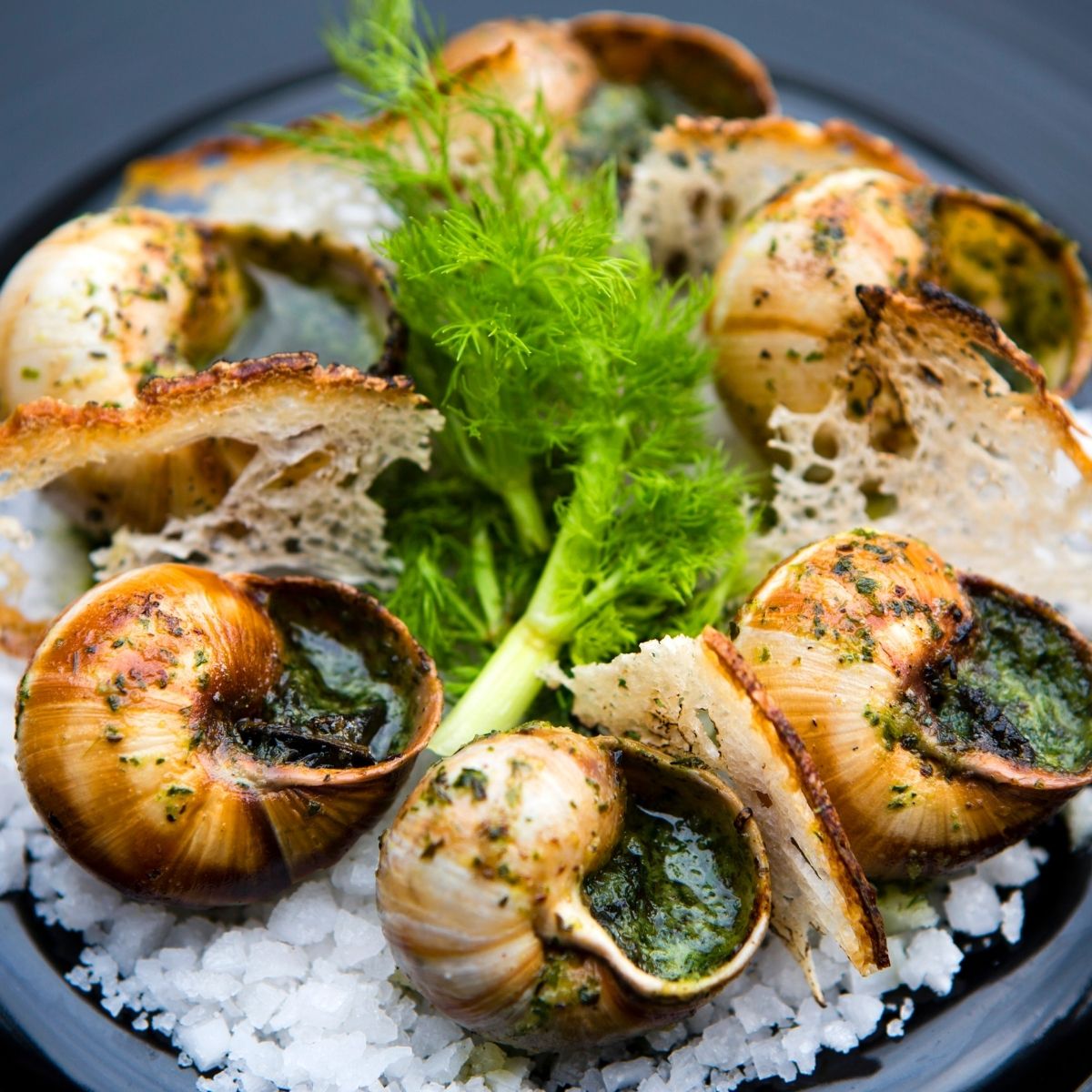 Lot de 10 plats à escargots en aluminium 17,5 cm Fackelmann - Mathon - 6