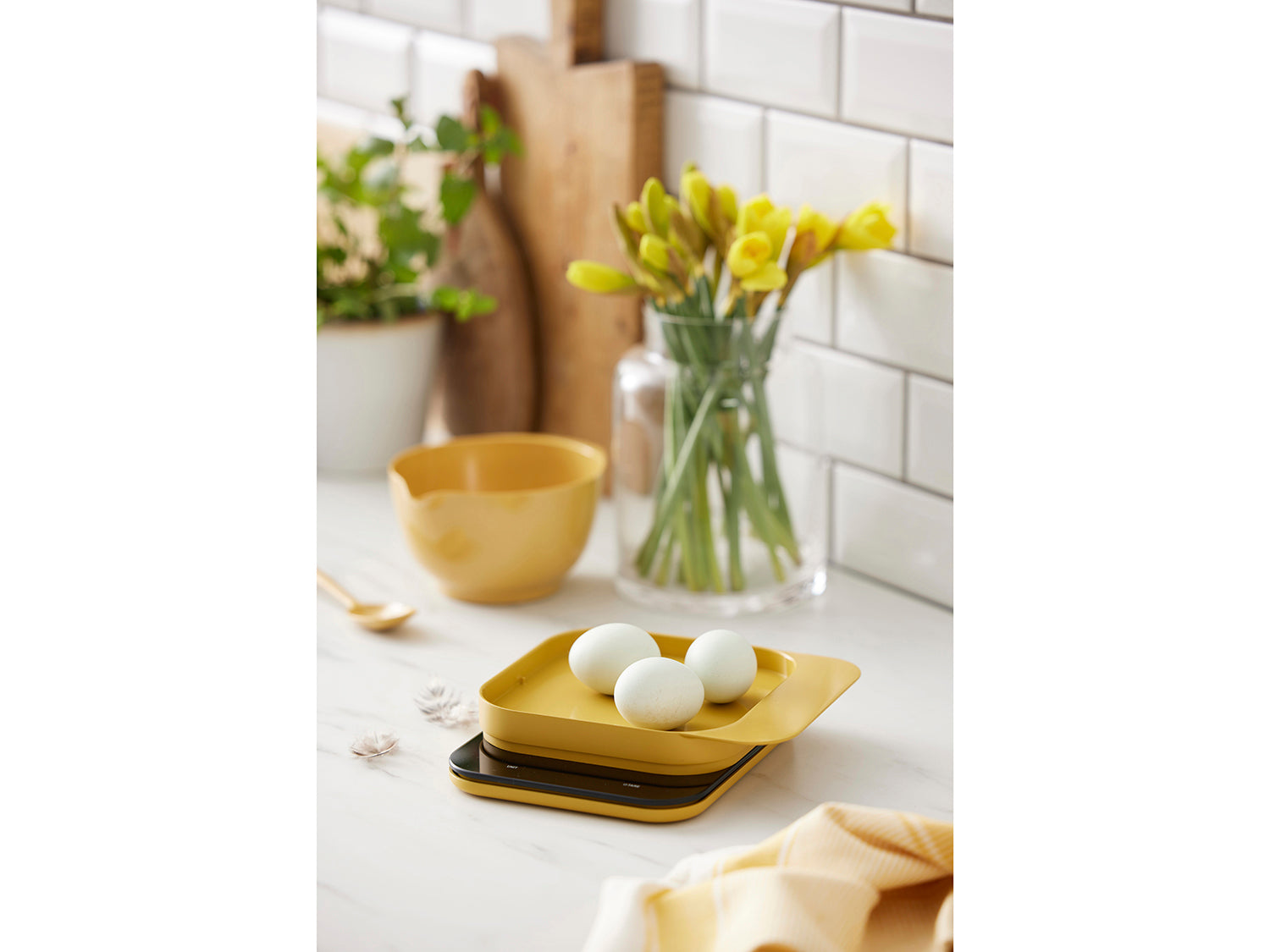 Balance de cuisine MENSURA en ABS Curry Rosti - Mathon - 3