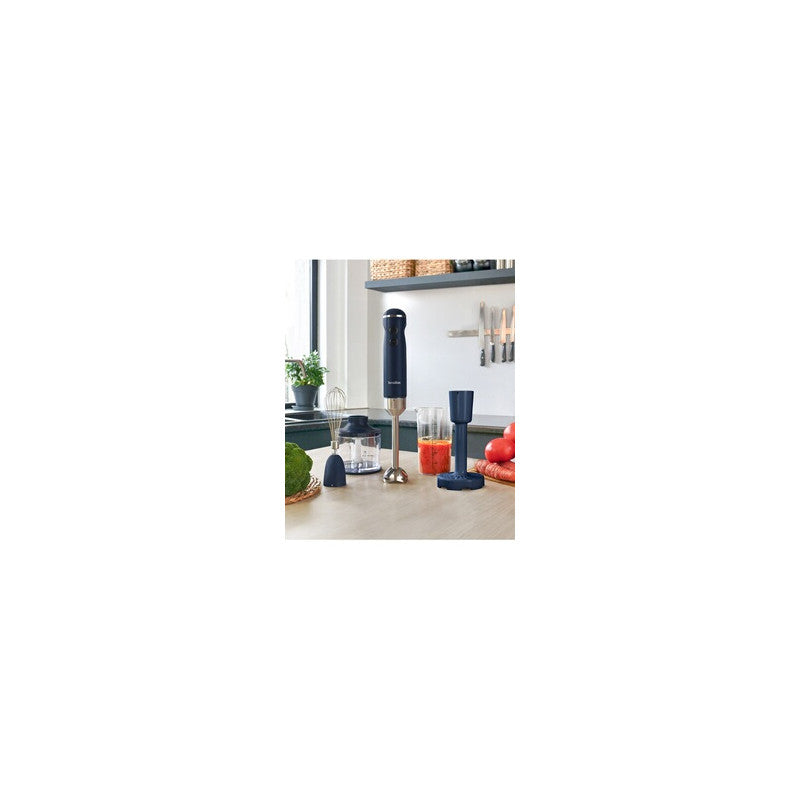 Mixeur Plongeant 1000w Pied Inox Lames Inox Fonction Turbo Vitesses Var Terraillon - Mathon - 2