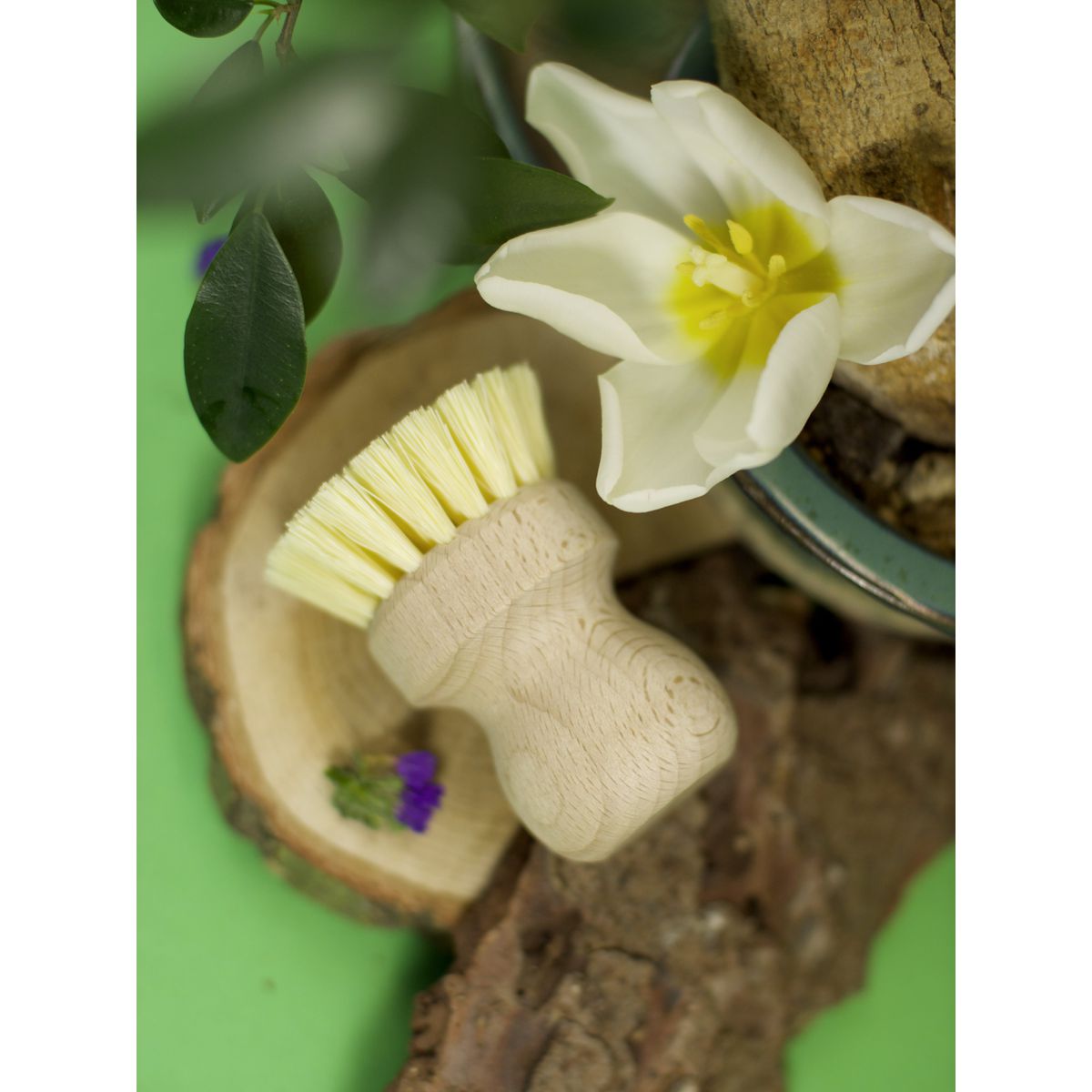 Brosse à vaisselle en bois Fackelmann - Mathon - 7