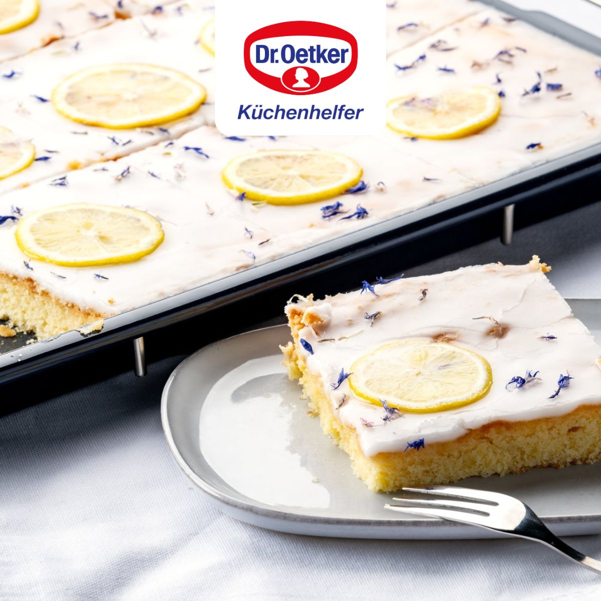 Plaque four extensible 41-53 x 33 cm Dr Oetker Back Liebe Dr. Oetker - Mathon - 7