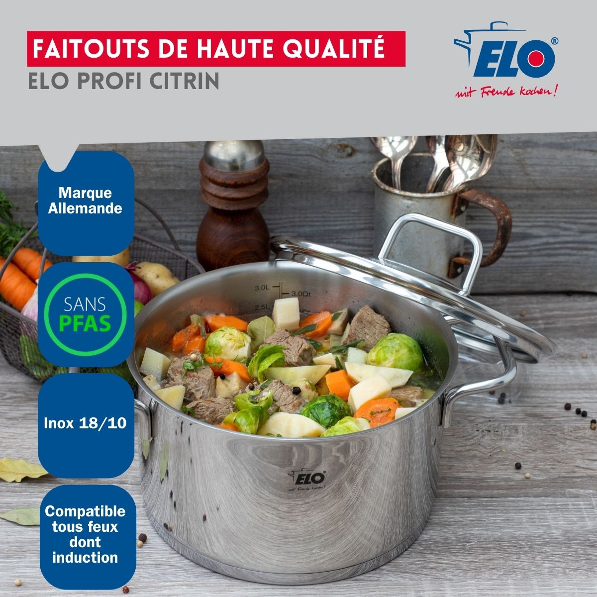 Ensemble de 1 Poêle de cuisson 24 cm et 3 faitouts 14, 20 et 26 cm  Profi Citrin Elo - Mathon - 5