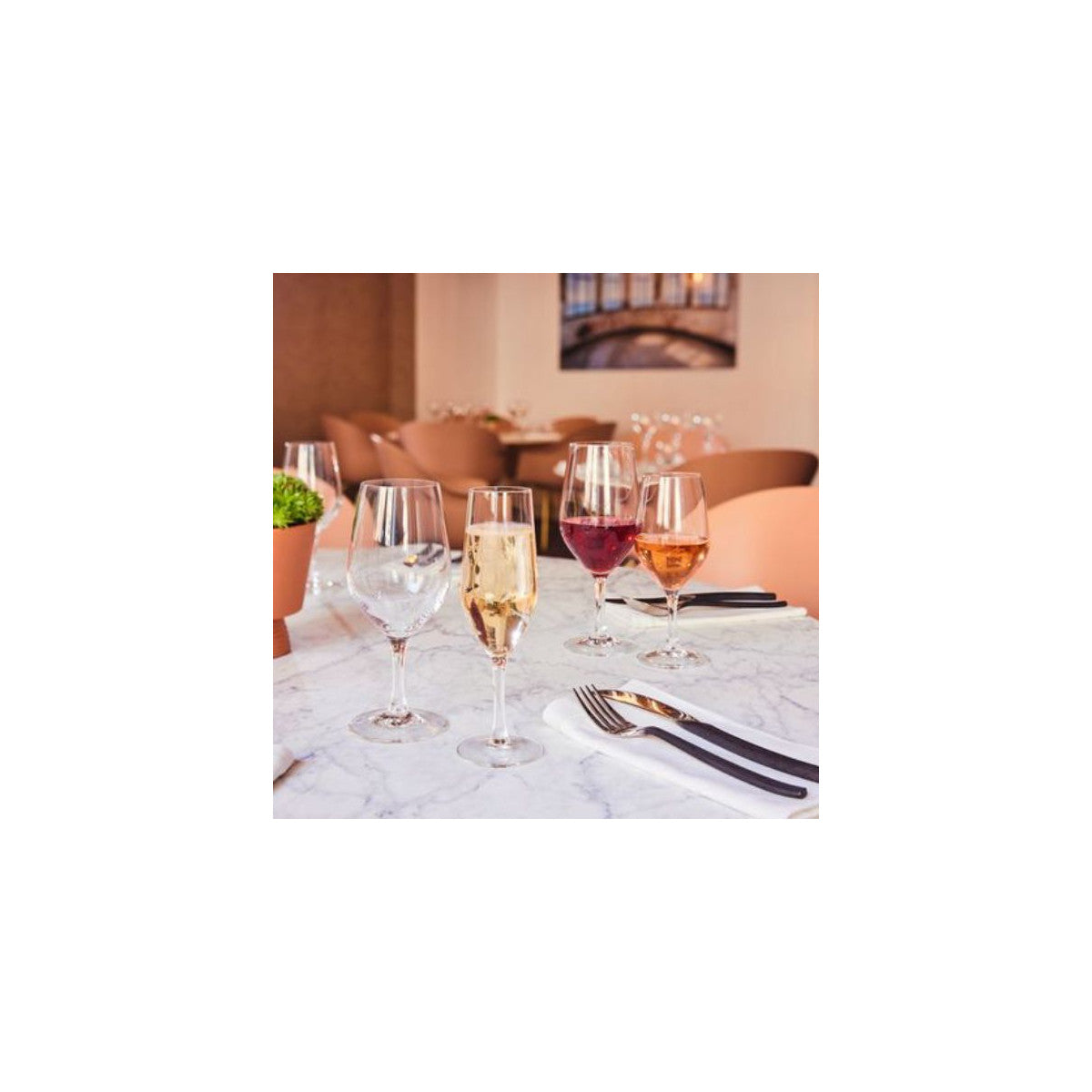 Evidence - 6 flûtes 16 cl Chef & Sommelier - Mathon - 2