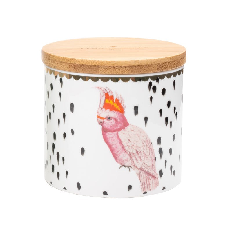 Pot hermétique - S - Perroquet Yvonne Ellen - Mathon