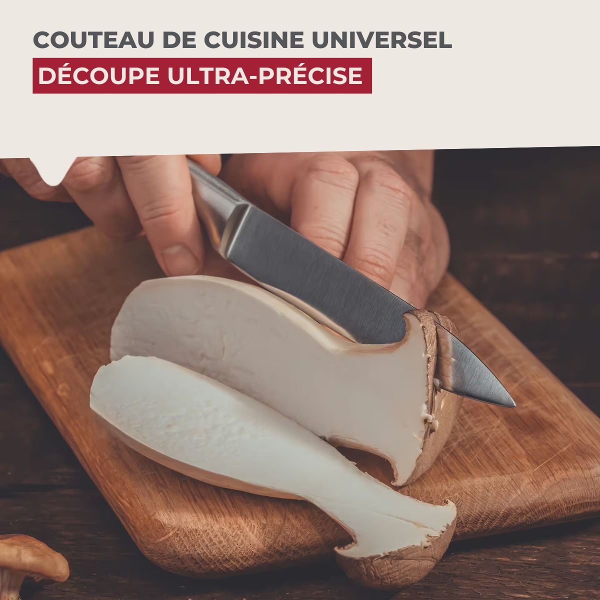 Ensemble de 2 Couteaux de cuisine universel 24 cm en tout  Star Nirosta - Mathon - 4