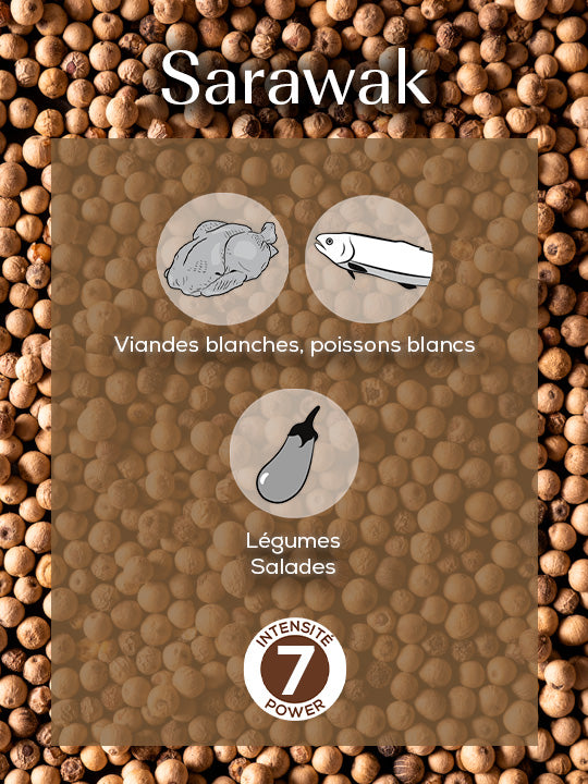 Multipack Mix Standard Pack Poivres et Sel Classique Peugeot - Mathon - 4