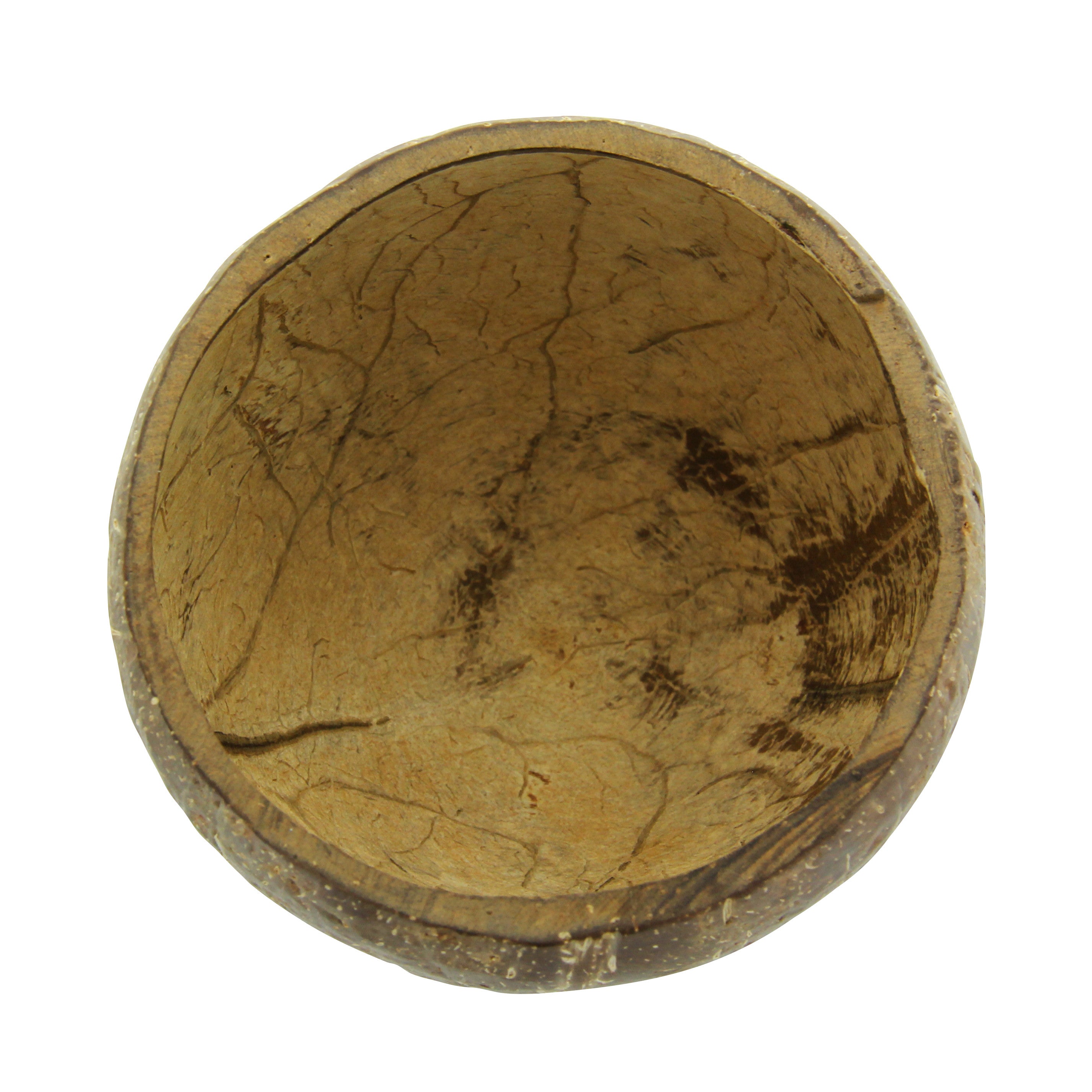 4Pcs - Bol noix de coco naturel  H80mm 350ml FirstPack - Mathon - 2