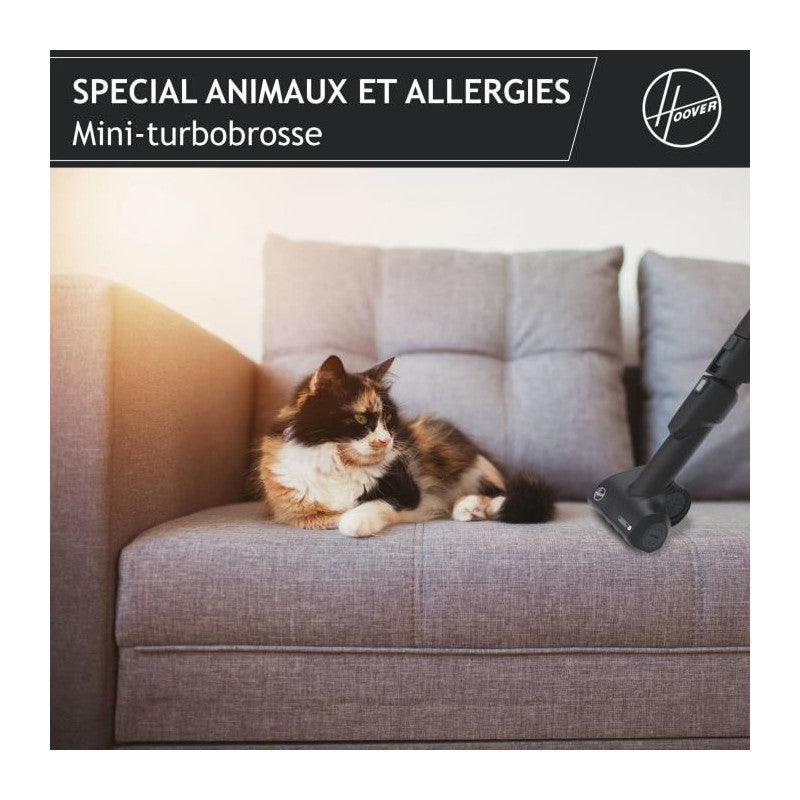 He530alg Aspirateur Traîneau Avec Sac, Puissant 850 W, Silencieux 69db, Grande Capacité 3,5l Special Allergie & Poils A Hoover - Mathon - 4