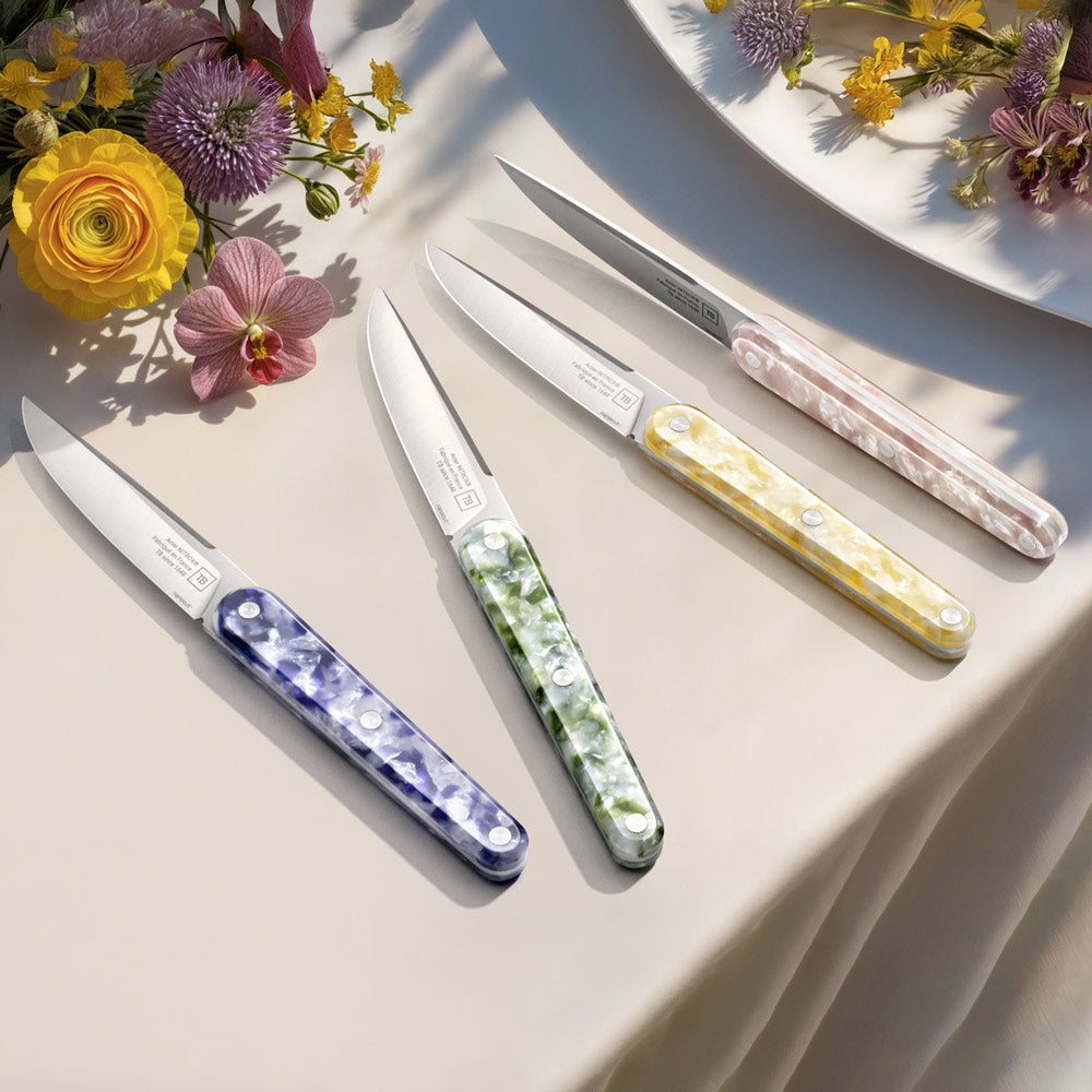 Coffret de 4 couteaux de table joseph nanocut multicolore Tarrerias Bonjean - Mathon - 2