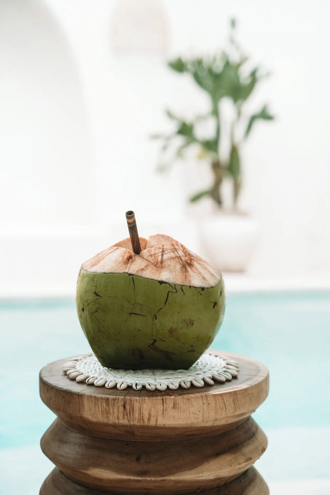 Le Dessous De Plat Seagrass Shell - Blanc Bazar Bizar - Mathon - 4