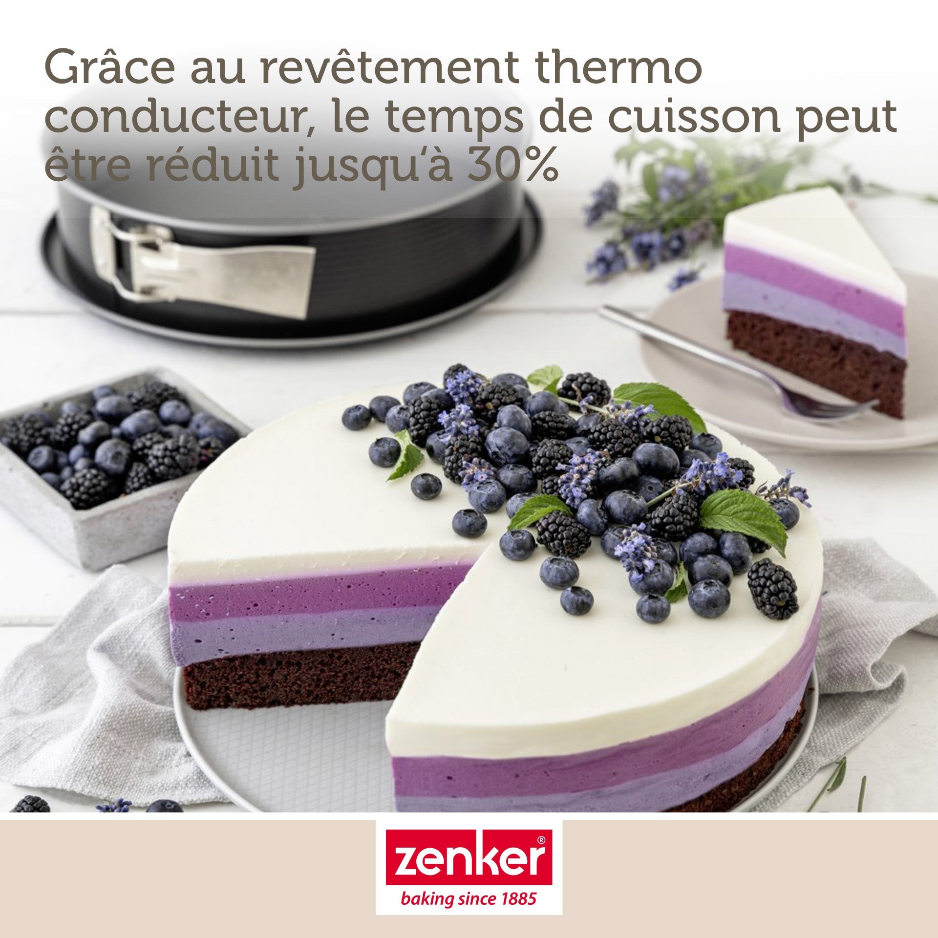 Moule à manqué à charnière en acier 28 cm Zenker Energy Zenker - Mathon - 5