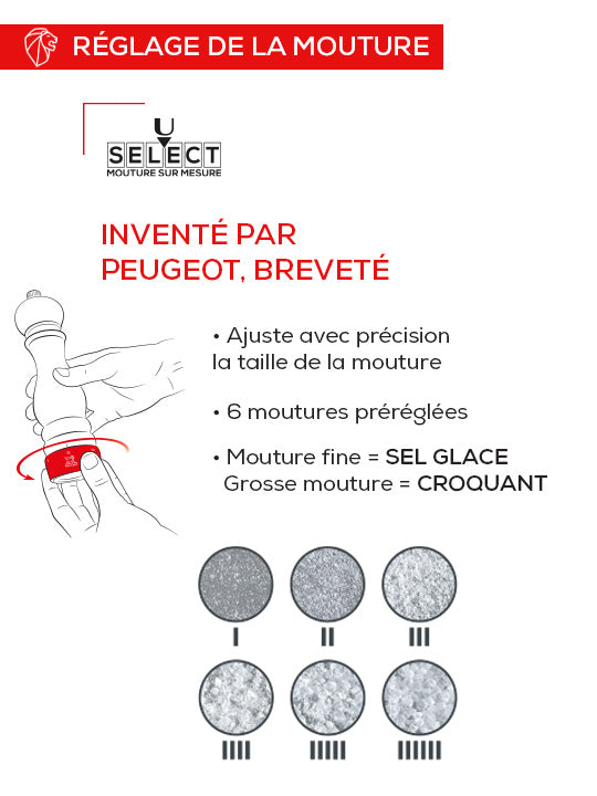 Madras Moulin à sel manuel en bois et inox, u