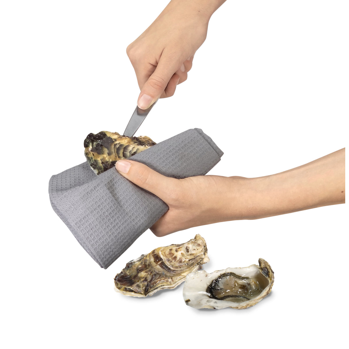 Lancette à huîtres Louis Tellier - Mathon - 3