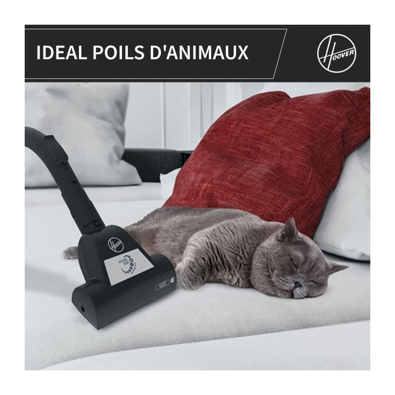 Aspirateur Traineau Sans Sac -   - Hp320pet - 850 W - 2 L - 75 Dba - Spécial Animaux Hoover - Mathon - 4