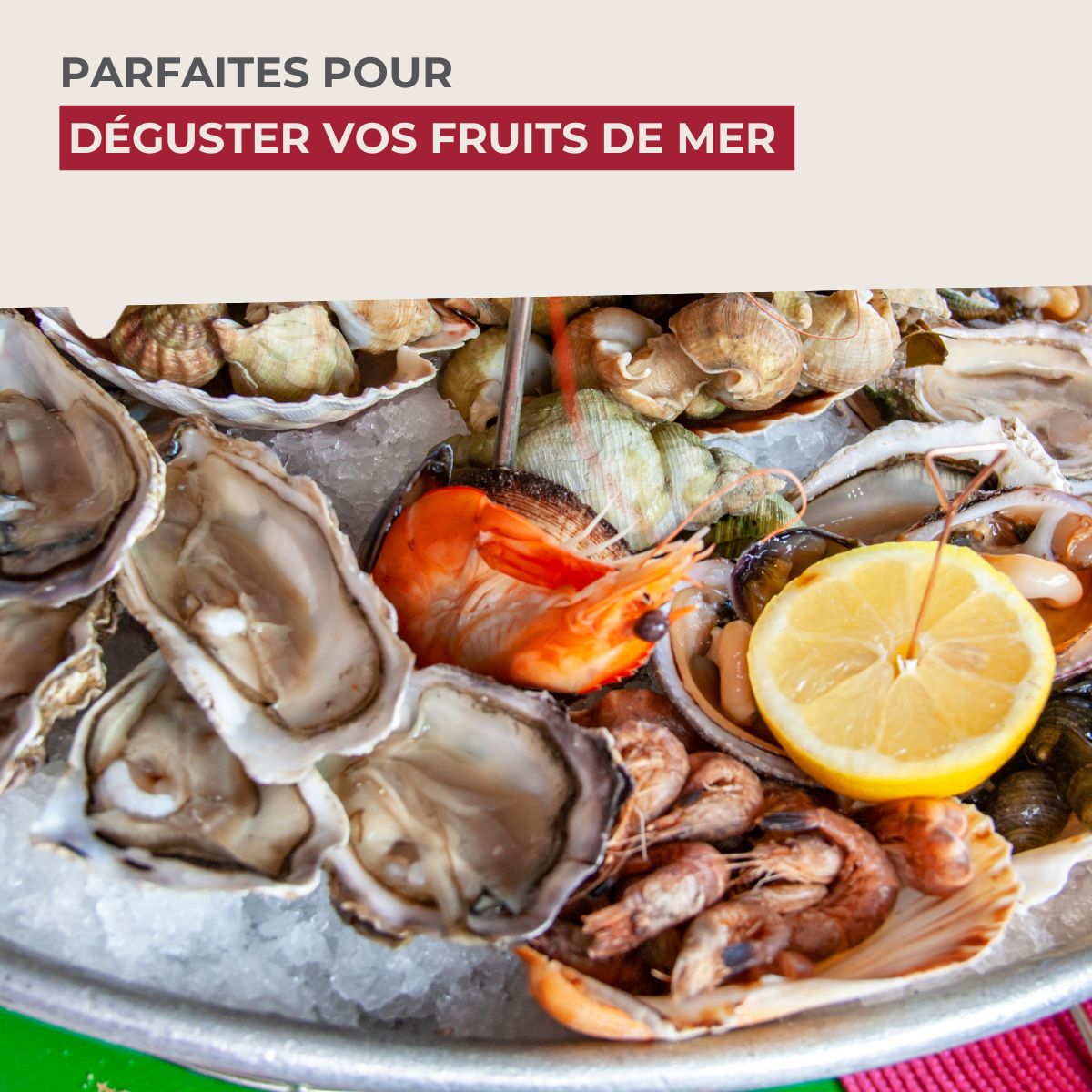 Lot de 6 fourchettes à escargots 12,5 cm Fackelmann - Mathon - 5